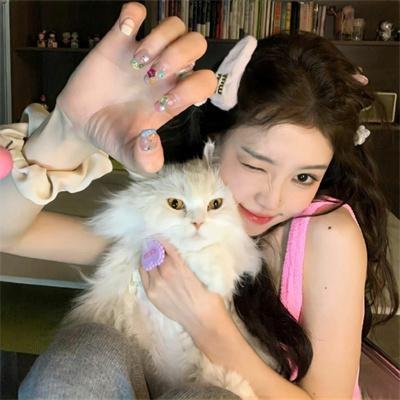 大夏龙帝第一部